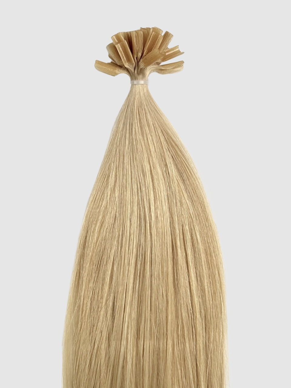 Gyllen blonde farge #22 - Keratin extensions 55 cm